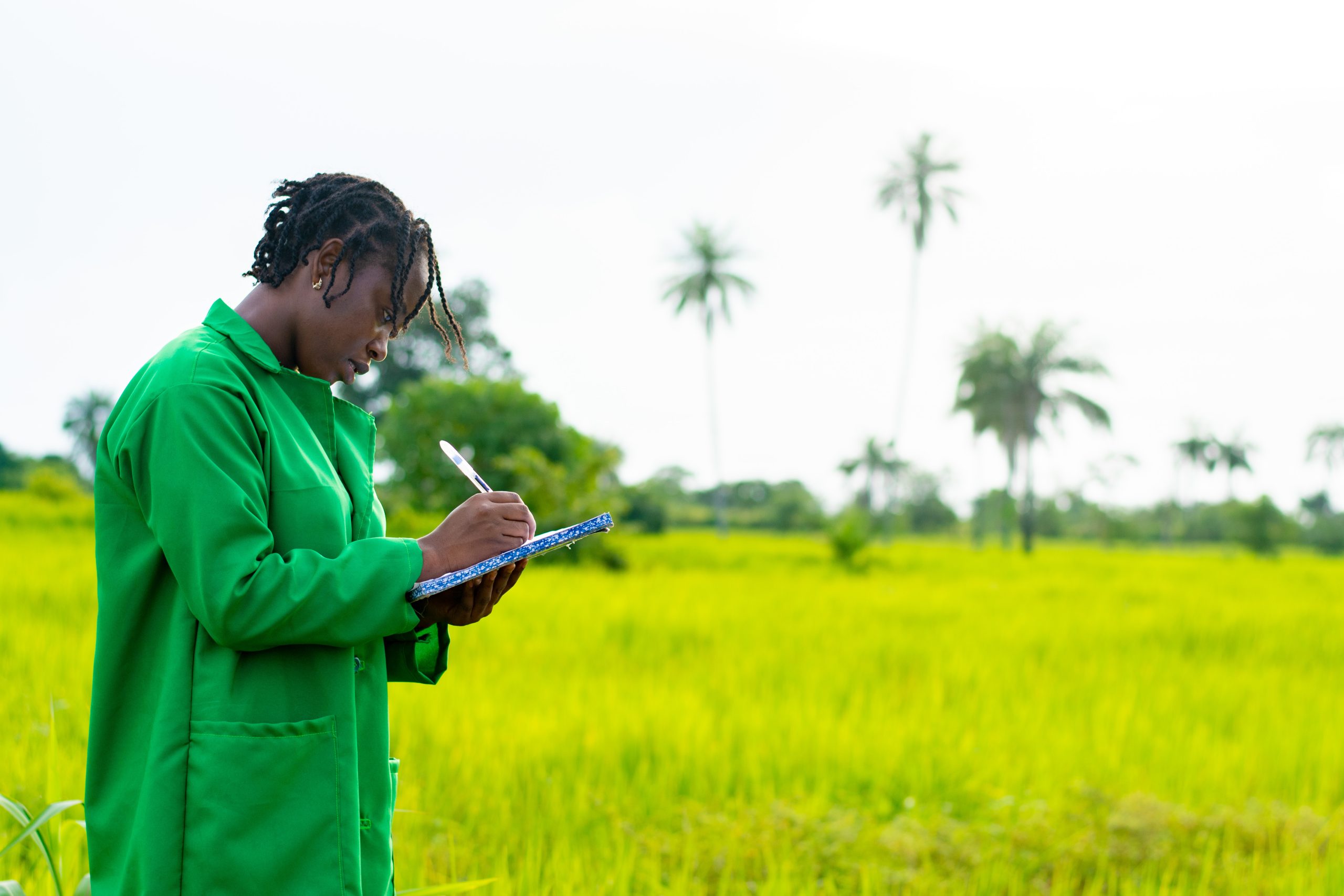 Financial Planning for Agribusiness: Best Practices | UHY Kenya